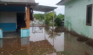 fotobpbdbeltim735423